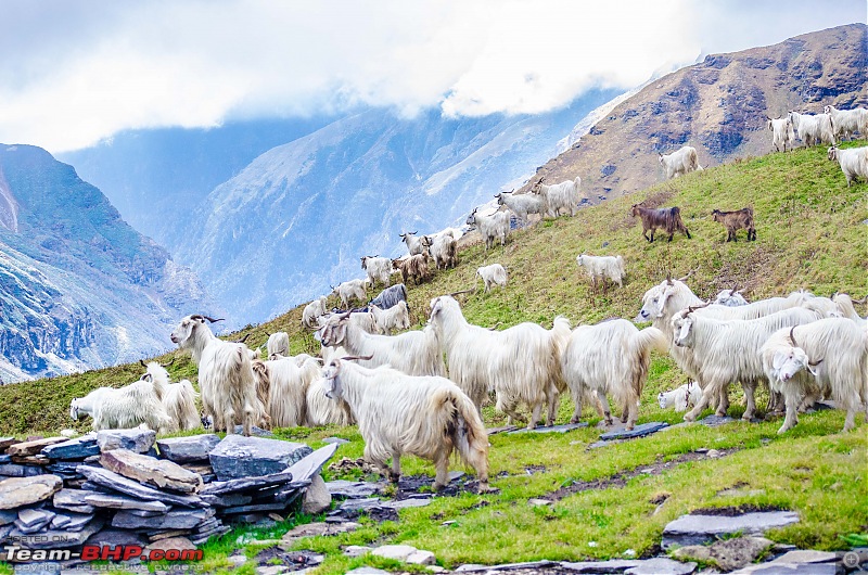 Crossing over the Rupin Pass-_dsc7221.jpg