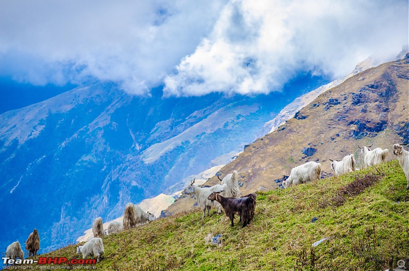 Crossing over the Rupin Pass-_dsc7223.jpg