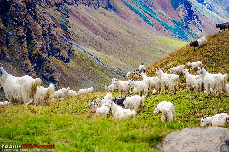 Crossing over the Rupin Pass-_dsc7225.jpg