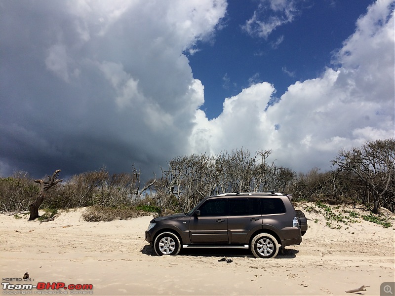 Exploring new frontiers : Trip to the Bribie Sand Island, off Brisbane-img_2843.jpg