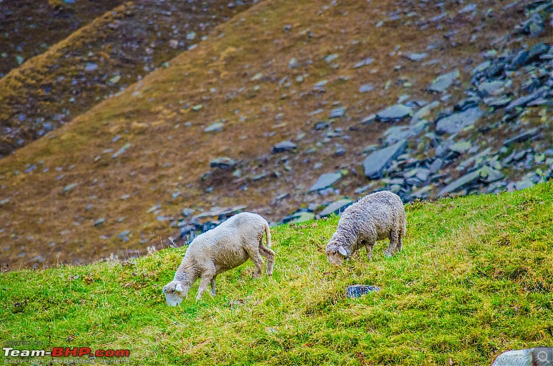 Crossing over the Rupin Pass-_dsc7231.jpg