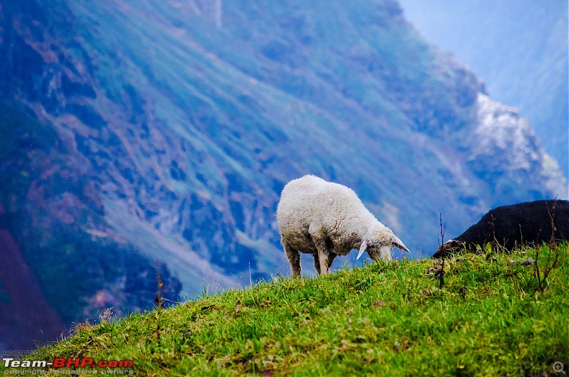 Crossing over the Rupin Pass-_dsc7233.jpg