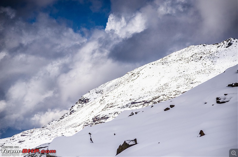 Crossing over the Rupin Pass-_dsc7281.jpg