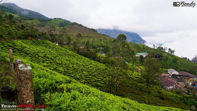 Weekend drive to Munnar & Kotagiri! Mesmerizingly & bewitchingly beautiful-dsc_7366.jpg