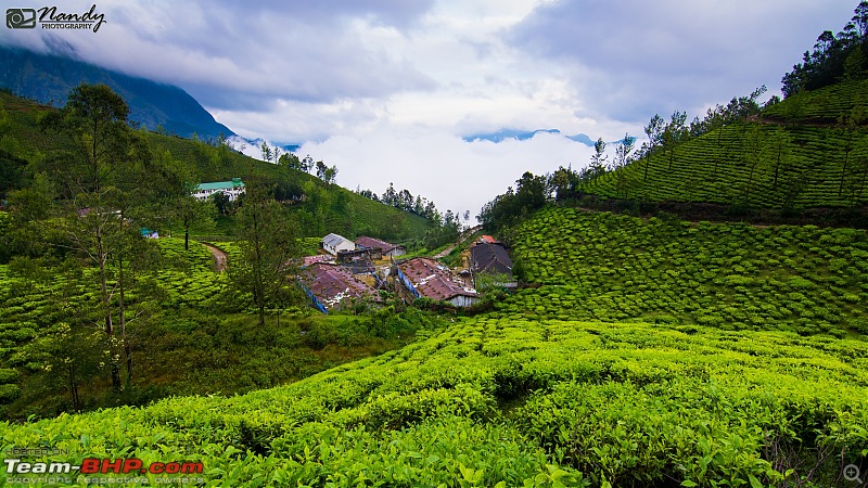 Weekend drive to Munnar & Kotagiri! Mesmerizingly & bewitchingly beautiful-dsc_7365.jpg