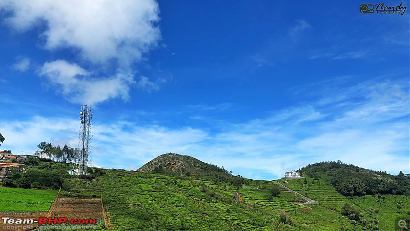 Weekend drive to Munnar & Kotagiri! Mesmerizingly & bewitchingly beautiful-561.jpg