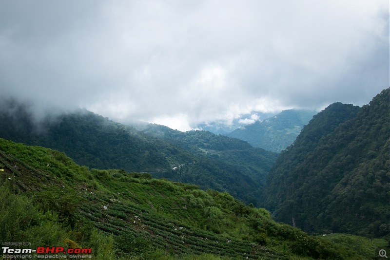 Road-trip to Sangti Valley, Arunachal Pradesh-402.jpg