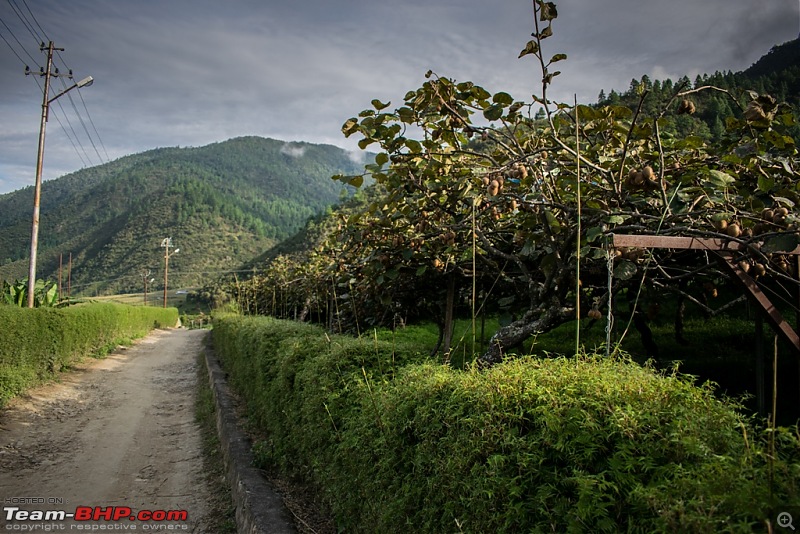 Road-trip to Sangti Valley, Arunachal Pradesh-583.jpg