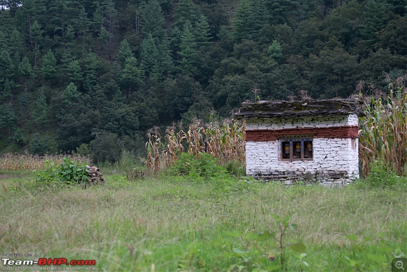 Road-trip to Sangti Valley, Arunachal Pradesh-649.jpg