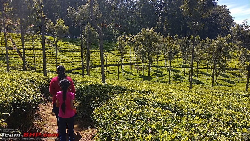 A maiden trip to Ooty-img_20181108_115623.jpg