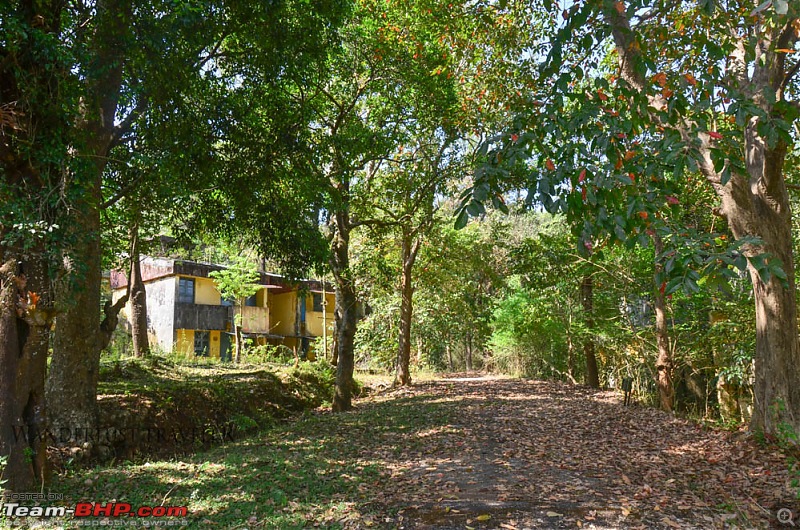 Wanderlust Traveler : Kudremukh township & Bhagavathi Nature Camp-suh_4064.jpg