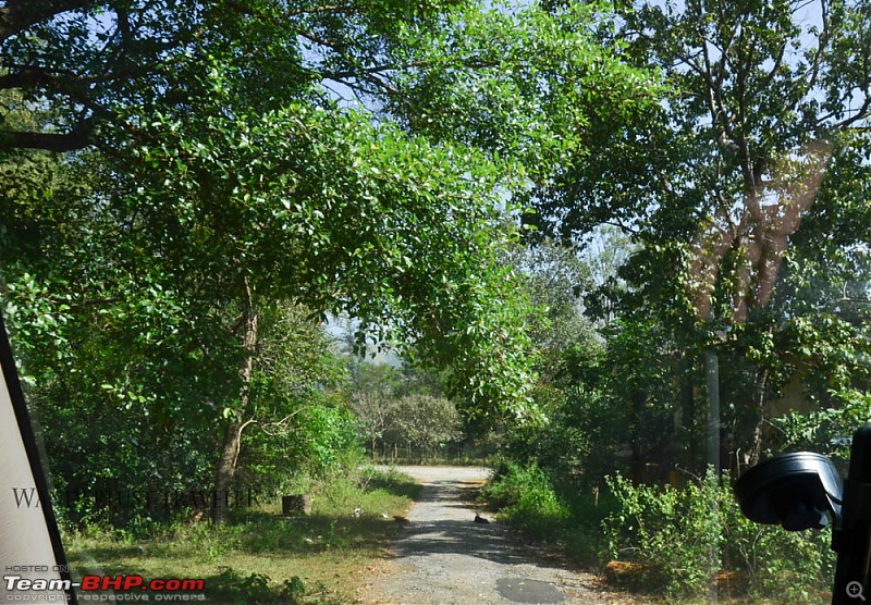 Wanderlust Traveler : Kudremukh township & Bhagavathi Nature Camp-suh_4071.jpg