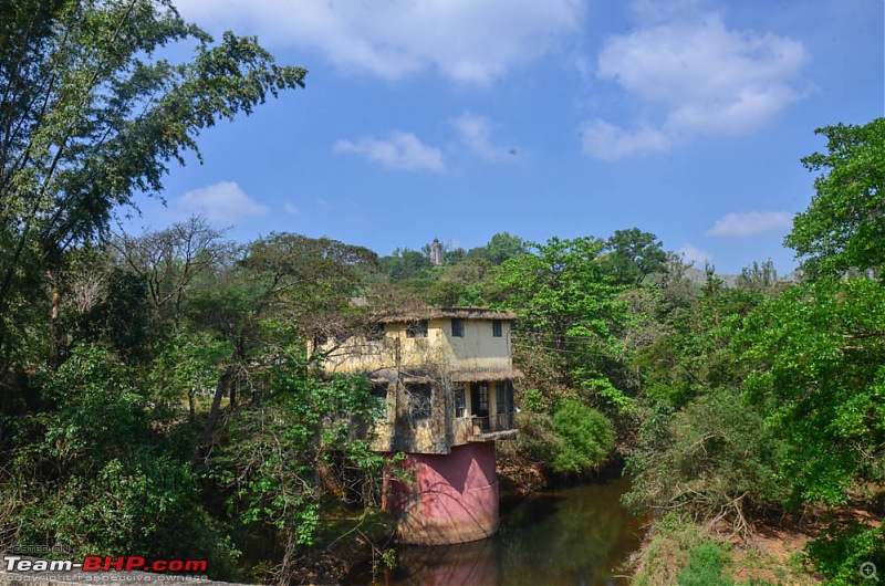 Wanderlust Traveler : Kudremukh township & Bhagavathi Nature Camp-suh_4099.jpg