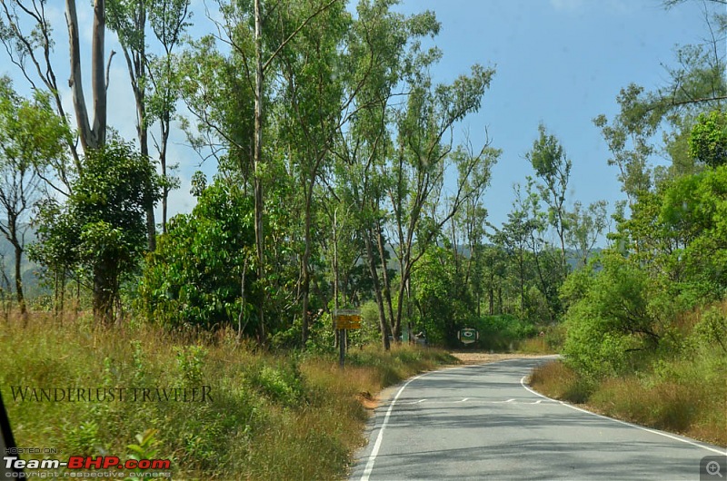 Wanderlust Traveler : Kudremukh township & Bhagavathi Nature Camp-suh_4138.jpg