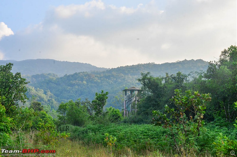 Wanderlust Traveler : Kudremukh township & Bhagavathi Nature Camp-suh_4163.jpg