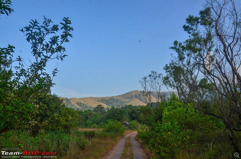 Wanderlust Traveler : Kudremukh township & Bhagavathi Nature Camp-suh_4165.jpg