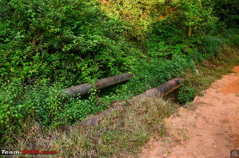 Wanderlust Traveler : Kudremukh township & Bhagavathi Nature Camp-suh_4176.jpg