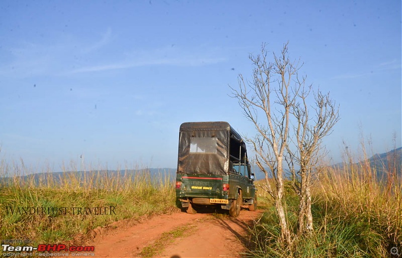 Wanderlust Traveler : Kudremukh township & Bhagavathi Nature Camp-suh_4211.jpg