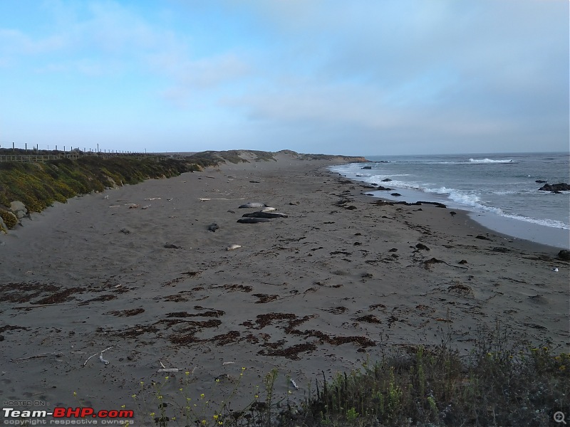 Twisties, mountains, woods and the Pacific: California State Route 1-65.jpg