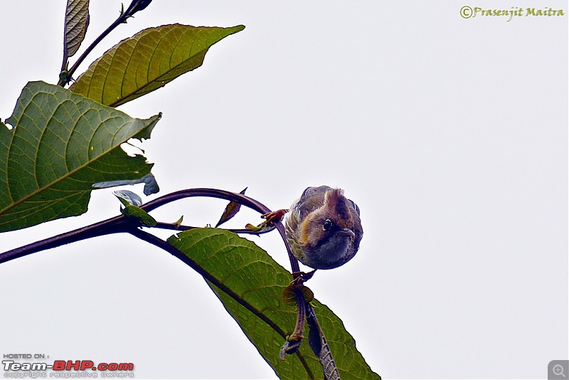 An Autumn Diary : Road trip to Sikkim and the hills of North Bengal-_dsc2067.jpg