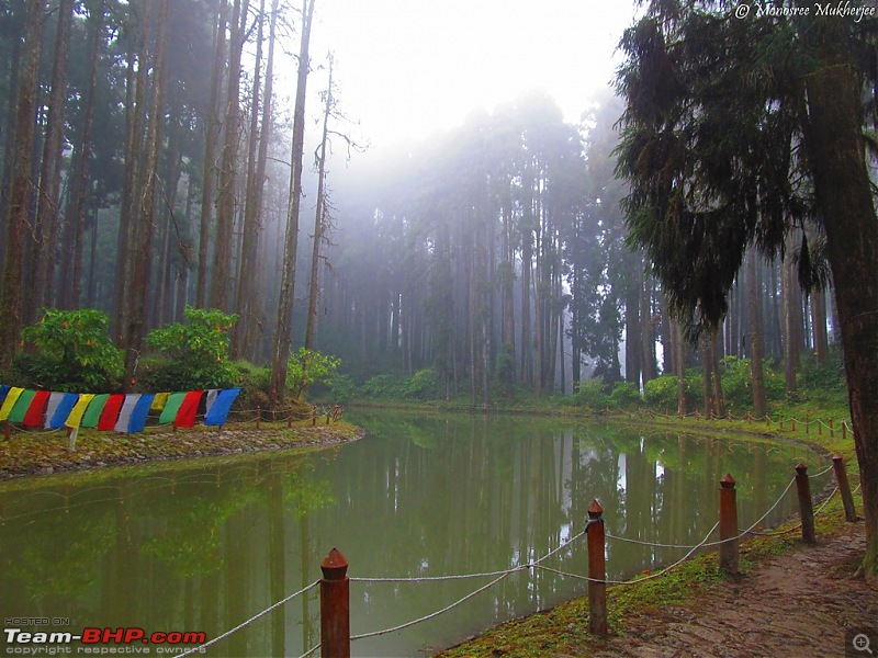 An Autumn Diary : Road trip to Sikkim and the hills of North Bengal-img_9682.jpg