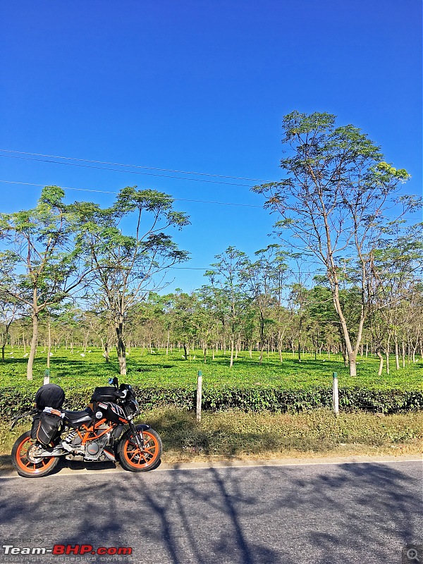 Bangalore to Bhutan & Nepal | Solo | 9,000 km of Adventure on a KTM Duke-img_1408.jpg