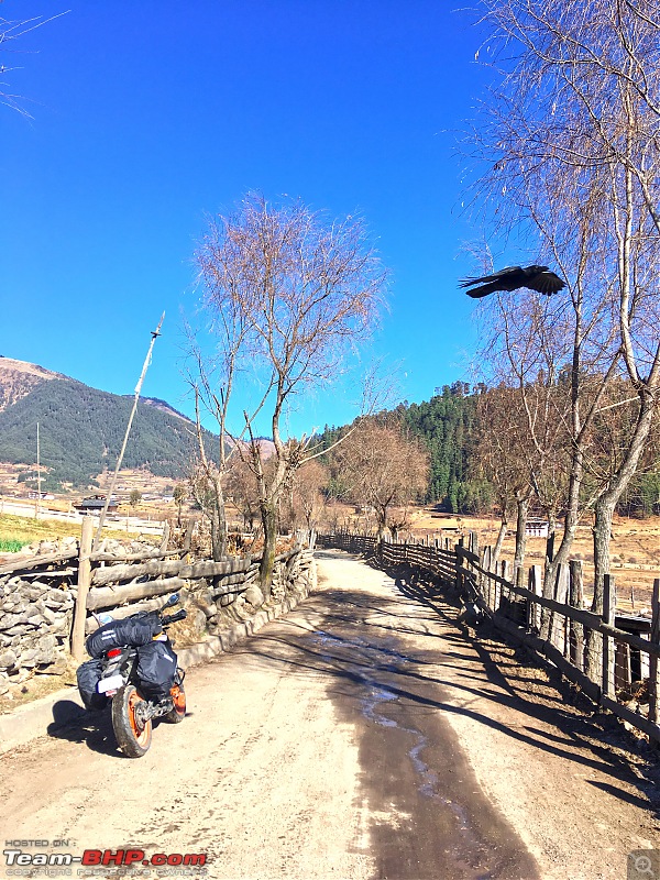 Bangalore to Bhutan & Nepal | Solo | 9,000 km of Adventure on a KTM Duke-img_1704.jpg