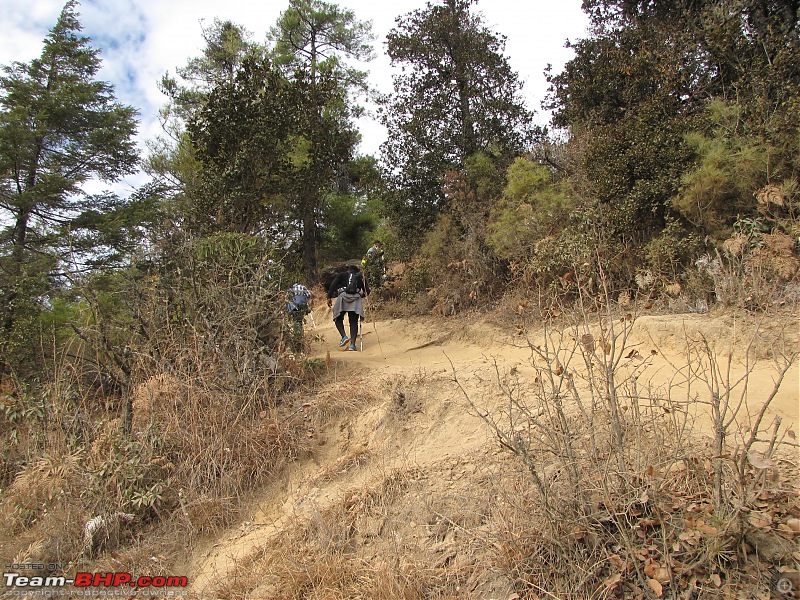 Ka goes to Bhutan with a pack of wolves - On a KTM Duke 390-img_3607.jpg