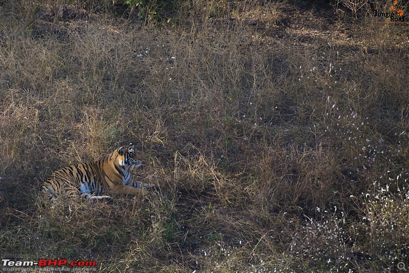 Wandering in the wild : Ahmedabad to Ranthambhore-_dsc6235.jpg