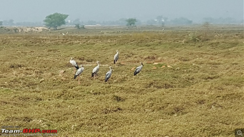 Mahindra Marazzo: Road-trip to Bhubaneswar, Gopalpur, Chilika & Puri-through-chilka21.jpg