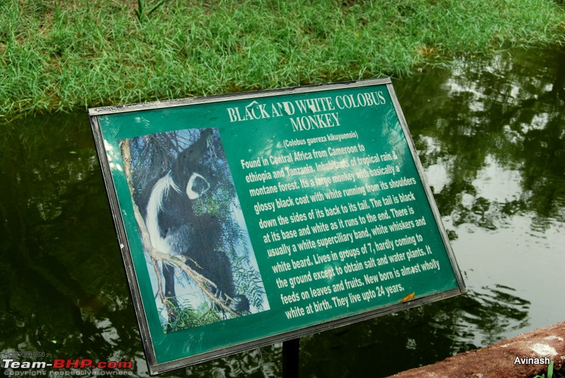 Hyderabad Zoo : A Photoblog-dsc_8329.jpg