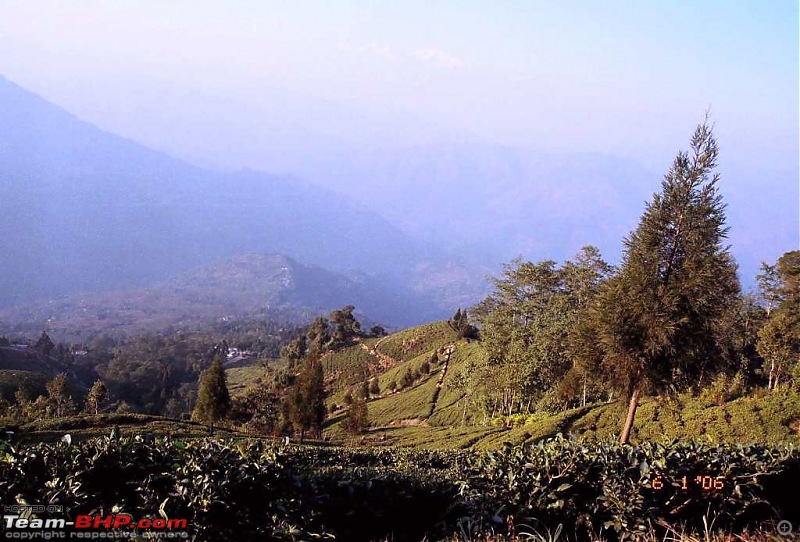 An incredible journey of a lifetime to Bhutan, Kalimpong, Darjeeling and Gangtok!-b-tea-estates-enroute-darjeeling.jpg