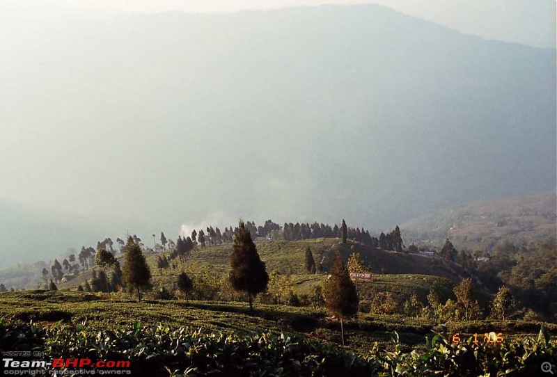 An incredible journey of a lifetime to Bhutan, Kalimpong, Darjeeling and Gangtok!-c-tea-estates.jpg