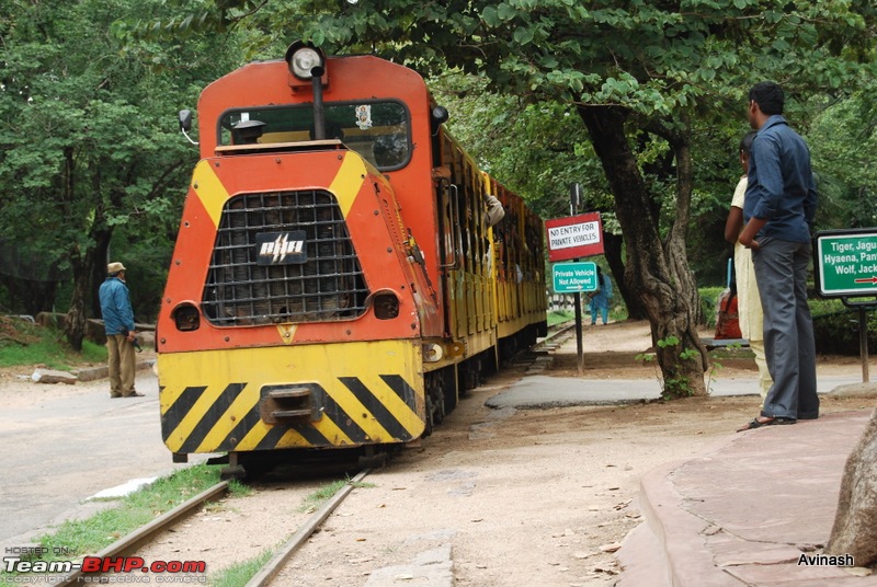 Hyderabad Zoo : A Photoblog-dsc_8373.jpg