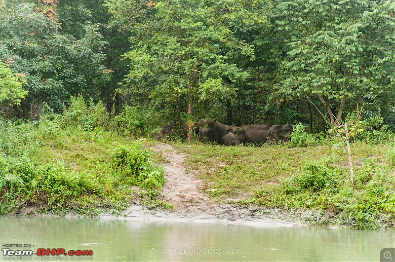 A swift journey from Kolkata to Meghalaya-meghalaya89.jpg