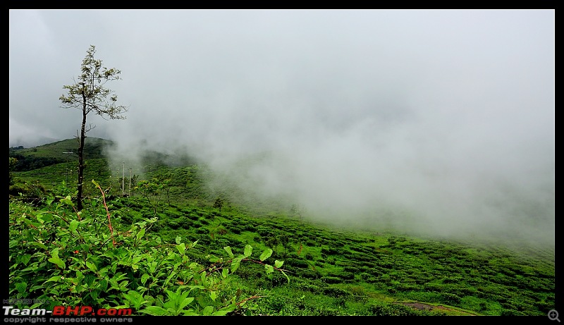 Quick drive through Vagamon and KK road in Kerala-dsc_0460.jpg