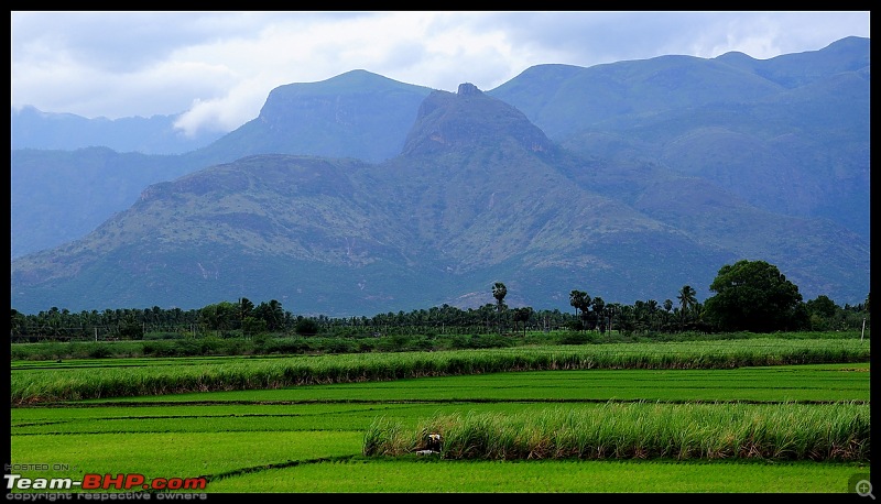 Quick drive through Vagamon and KK road in Kerala-dsc_0554.jpg