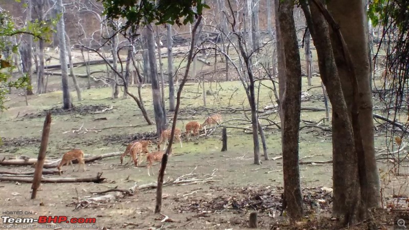 A memorable trip to the Pench Tiger Reserve, Madhya Pradesh-img_20190216_151309542a.jpg