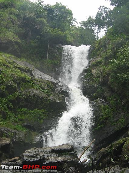 Swifted : Coorg-bg9.jpg