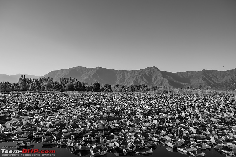 Kollam to Khardung La - A journey in monochrome-d7-6.jpg