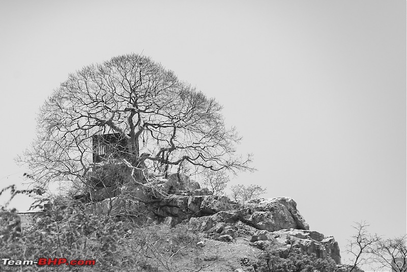 Kollam to Khardung La - A journey in monochrome-d19-1.jpg