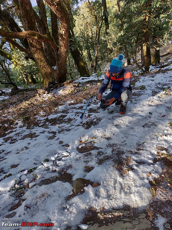 Our crazy first trek to Nag-Tibba, Uttarakhand-img_20190217_085138.jpg