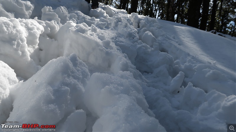 Our crazy first trek to Nag-Tibba, Uttarakhand-img_0310.jpg