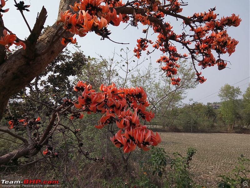 West Bengal - A treasure for tourists-bpqj3682.jpg