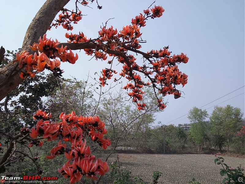 West Bengal - A treasure for tourists-xdaf1163.jpg