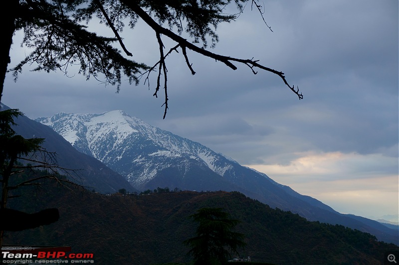 Maruti Gypsy: Off the beaten track in the lower Himalayas-10.jpg