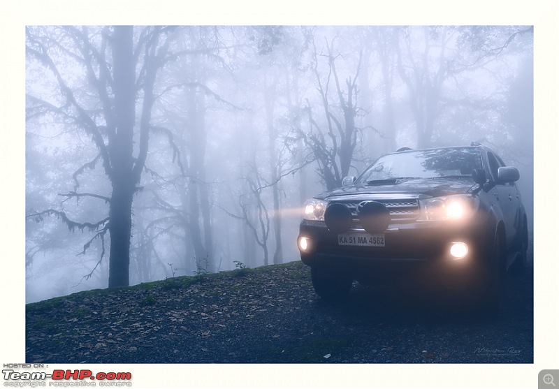 Bison Chronicles | Mist and Rain, Kumaon-dsc_5647_00001.jpg