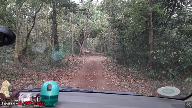 Panchalingeshwar Temple and Kuldiha forest trip, Odisha-jungle-drive.jpg