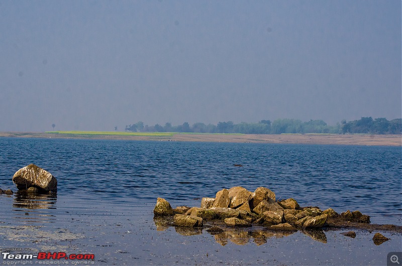 Winter wanderings - Rural Bengal & Meghalaya!-_dsc7887.jpg