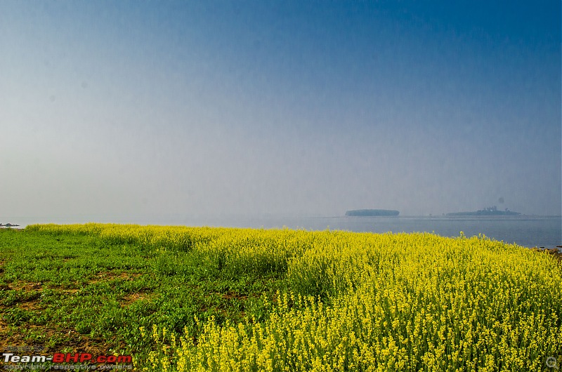 Winter wanderings - Rural Bengal & Meghalaya!-_dsc7901.jpg